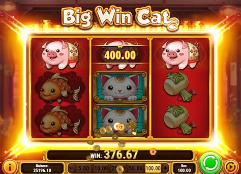 cats slots big win